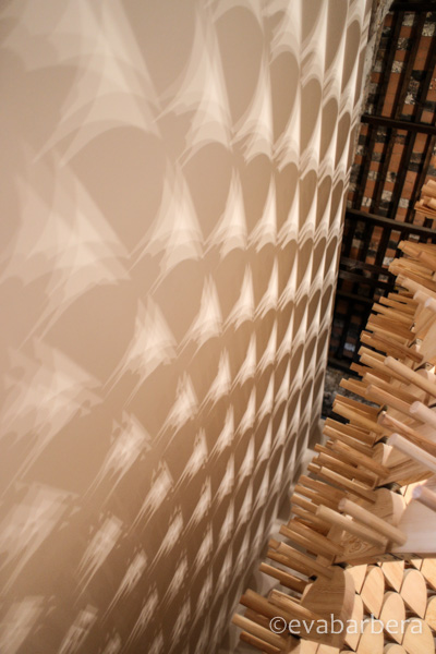 biennale (10 di 17)