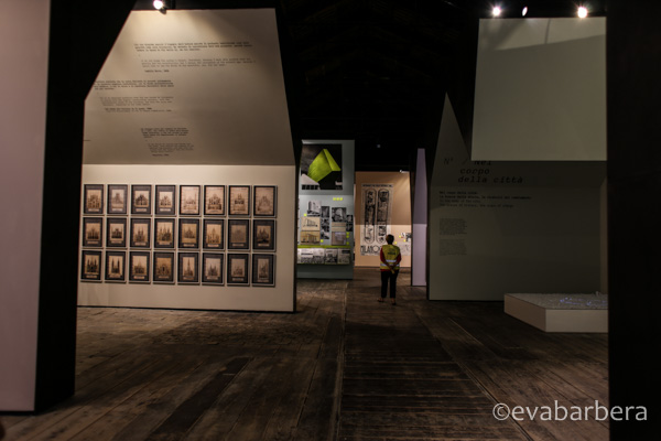 biennale (14 di 17)