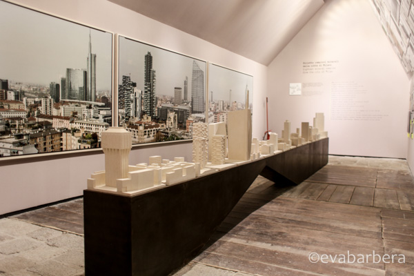 biennale (15 di 17)