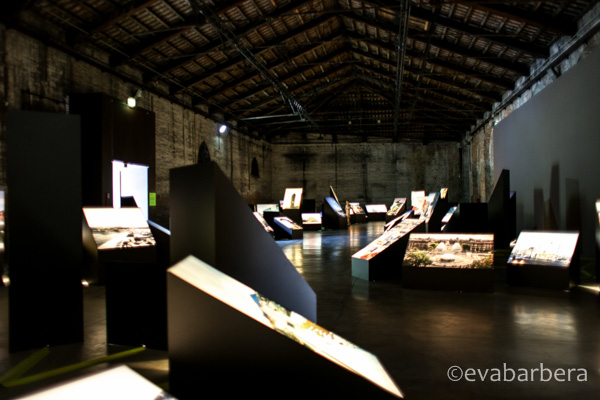 biennale (16 di 17)