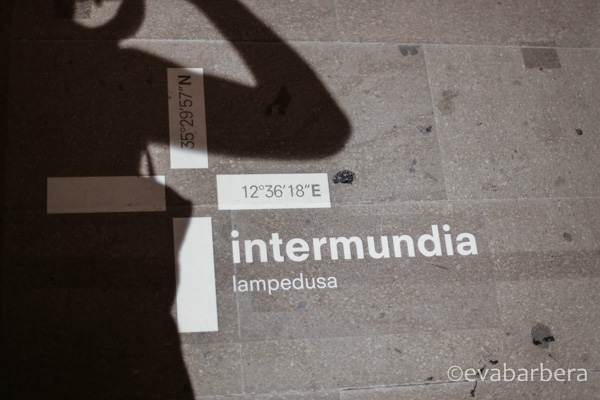 biennale (2 di 17)