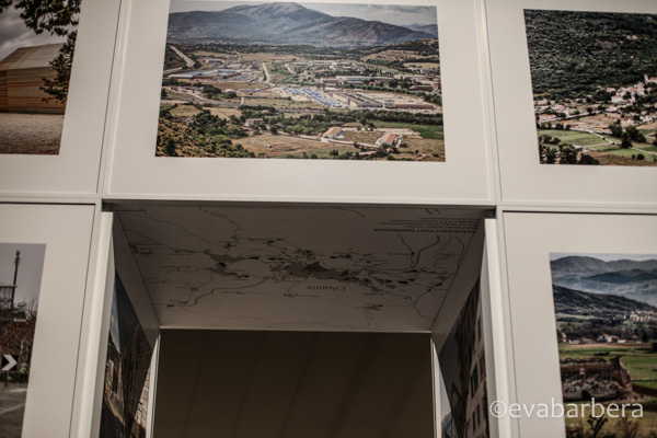 biennale (4 di 17)