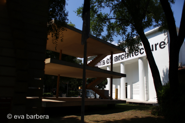 biennale 2 (13)