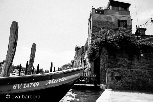 biennale 2 (2)