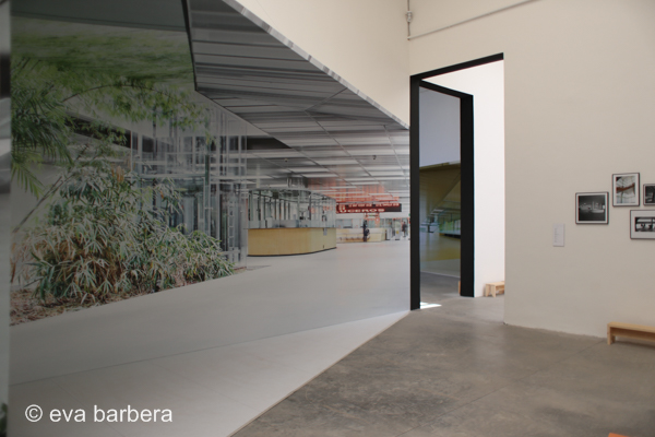 biennale 2 (5)